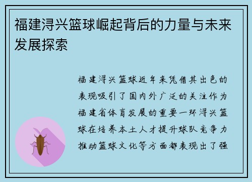 福建浔兴篮球崛起背后的力量与未来发展探索